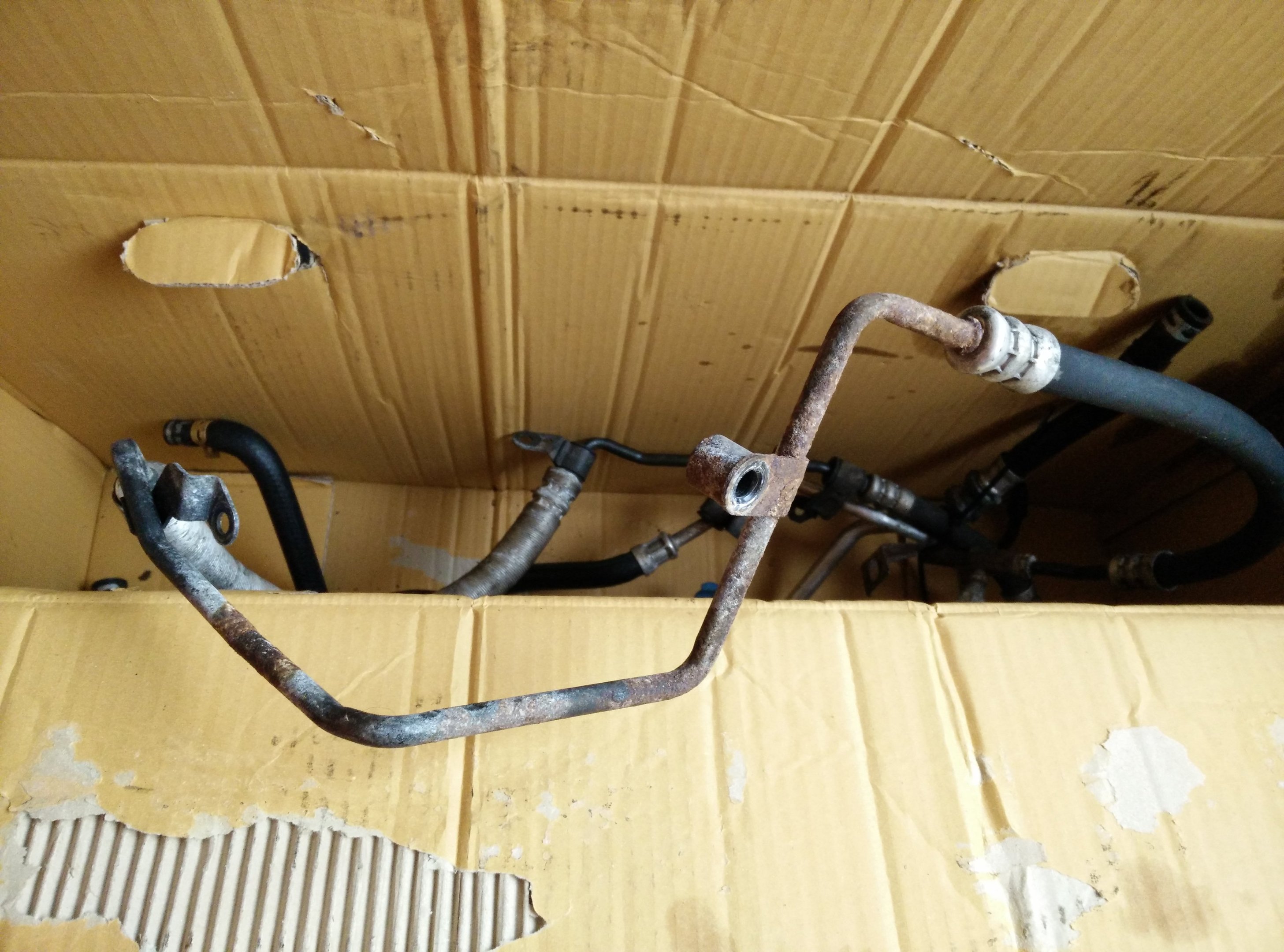 IMG_20141205_152108.jpg IMG_20141205_152108.jpg