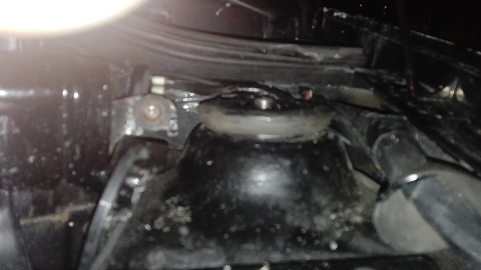 IMG_20160406_233121.webp