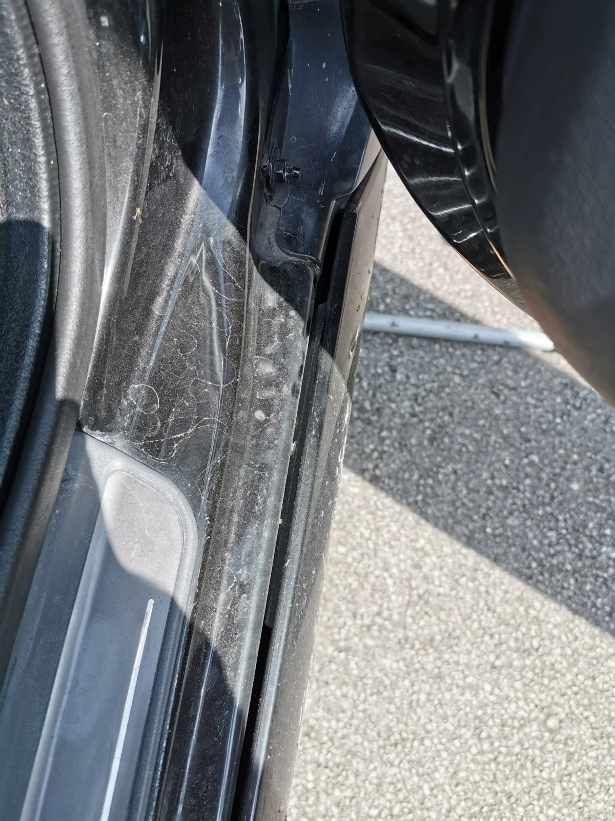 IMG_20190629_114439.webp