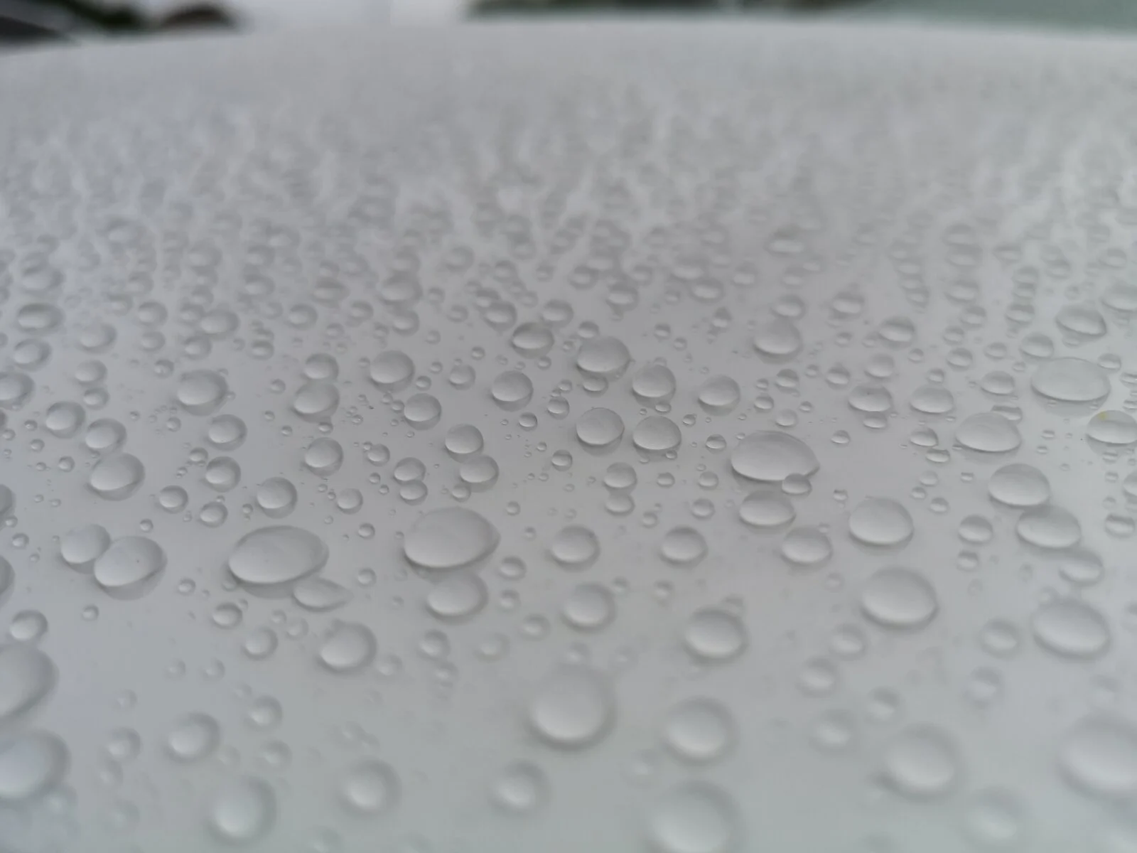 IMG_20200318_123807.webp