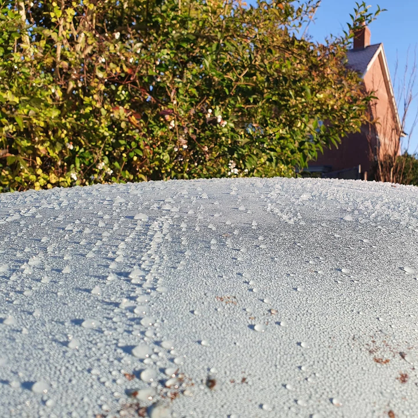 IMG_20201126_092148_254.webp