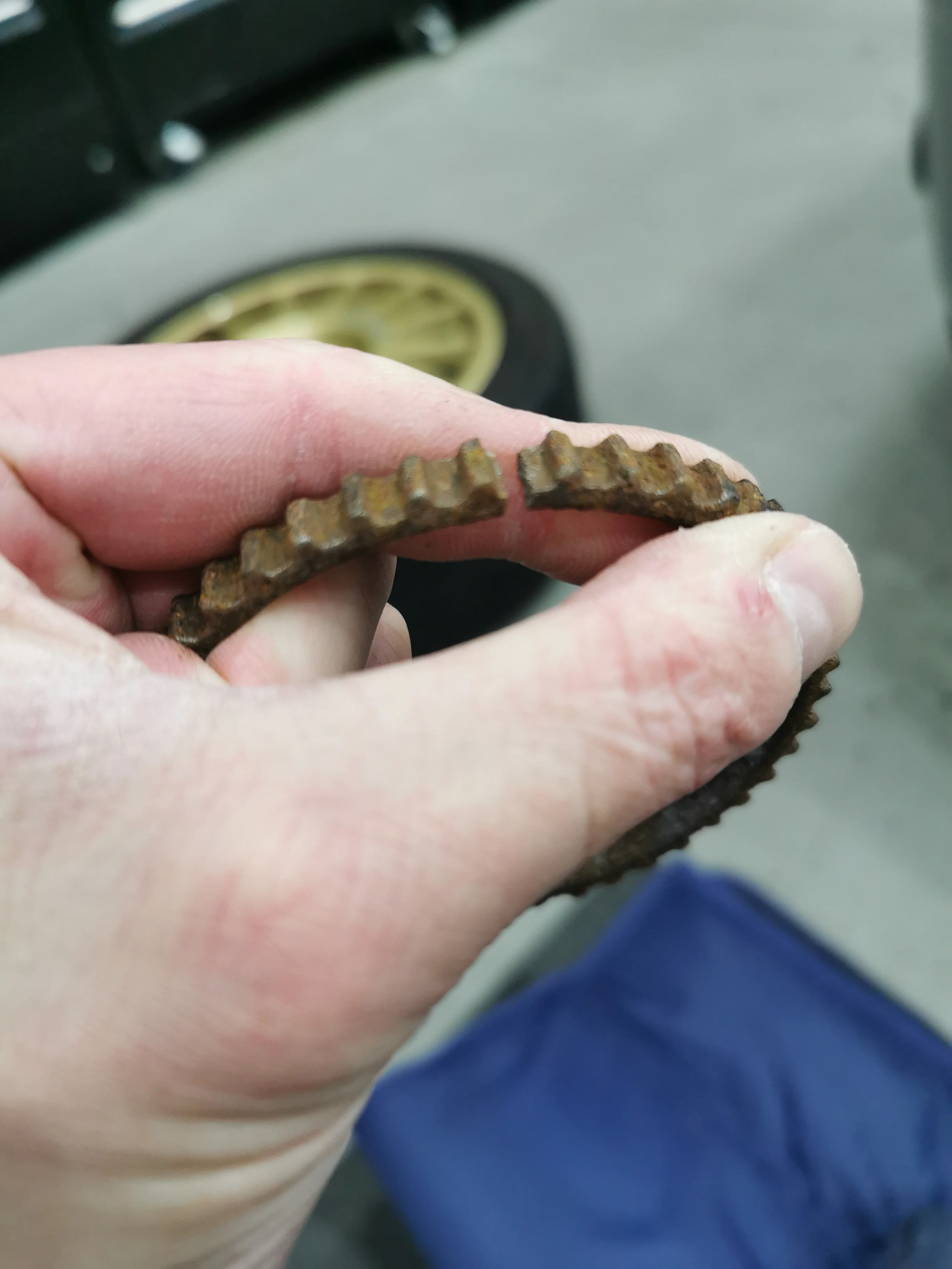 IMG_20211211_093124.webp