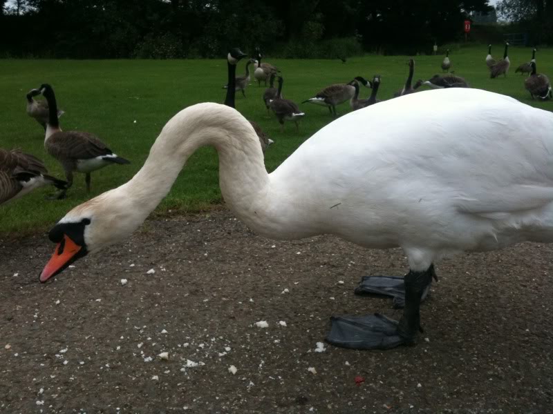 IMG_2045.jpg IMG_2045.jpg