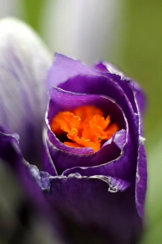 IMG_2176_zpsc69fc6b5.webp