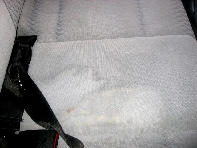 IMG_2199.webp