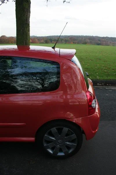 IMG_2254Medium.webp