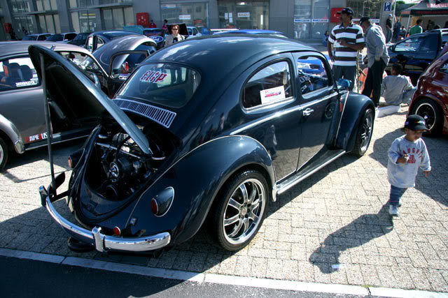 IMG_2264.jpg