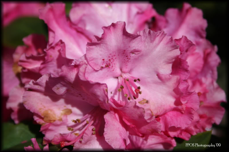 IMG_2384small.jpg