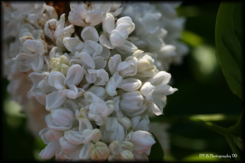 IMG_2396small.jpg