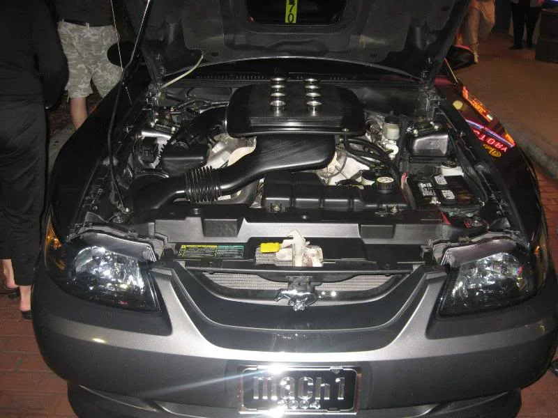 IMG_2425.webp