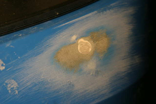 IMG_2446.jpg IMG_2446.jpg