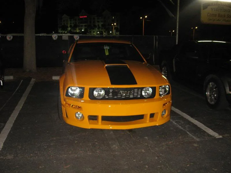 IMG_2447.webp