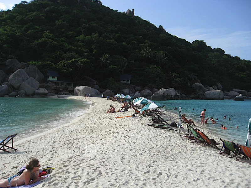 IMG_2533.webp