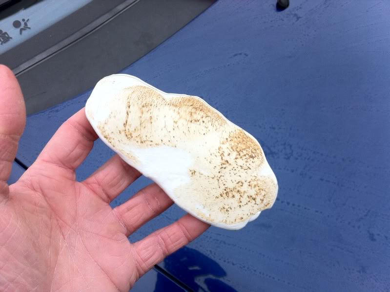 IMG_2572.jpg IMG_2572.jpg