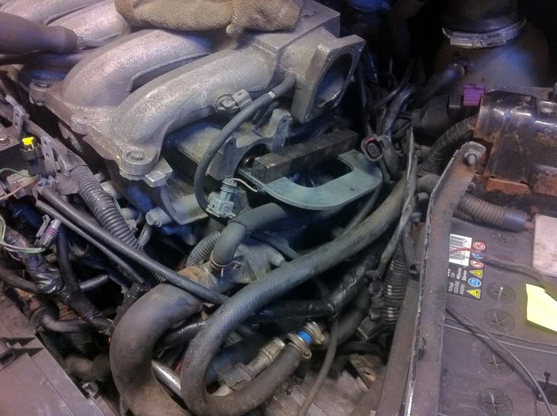 IMG_2590.jpg IMG_2590.jpg