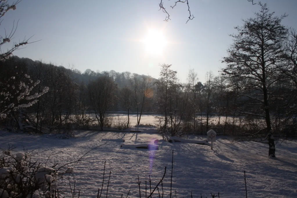 IMG_2851.webp