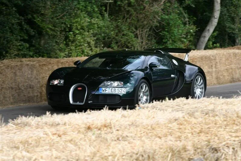 IMG_3057Large.webp