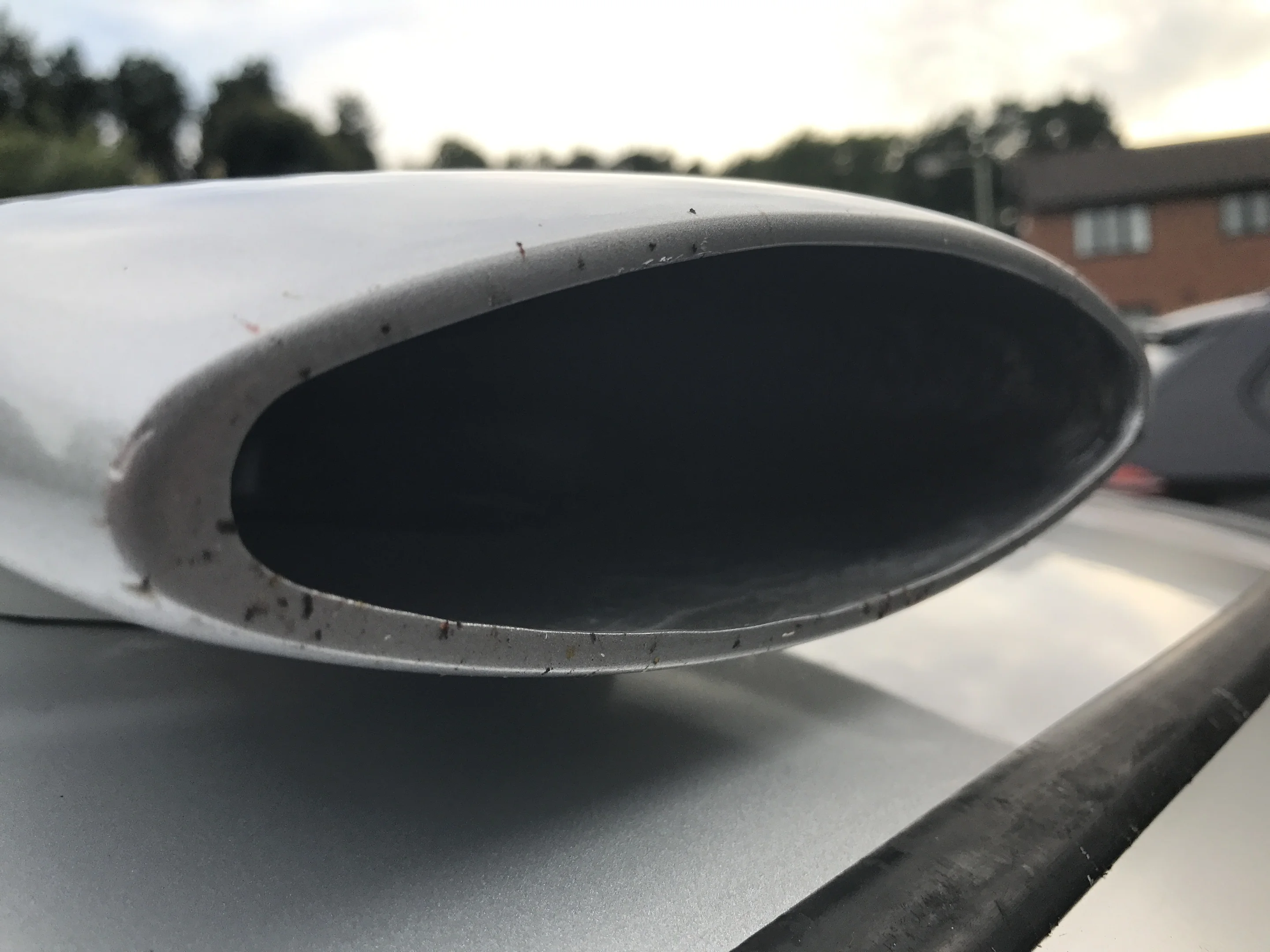 IMG_3072.webp