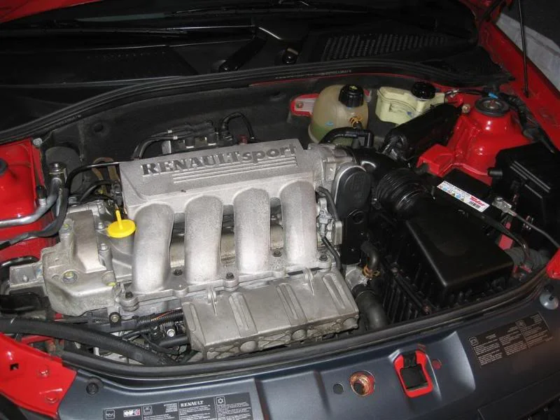 IMG_3117Large.webp