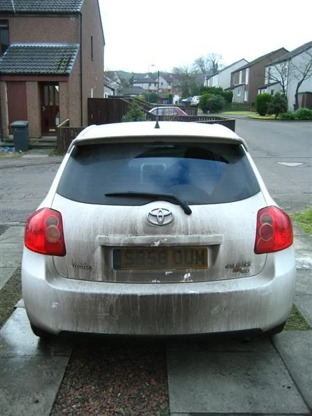 IMG_3239Medium.webp