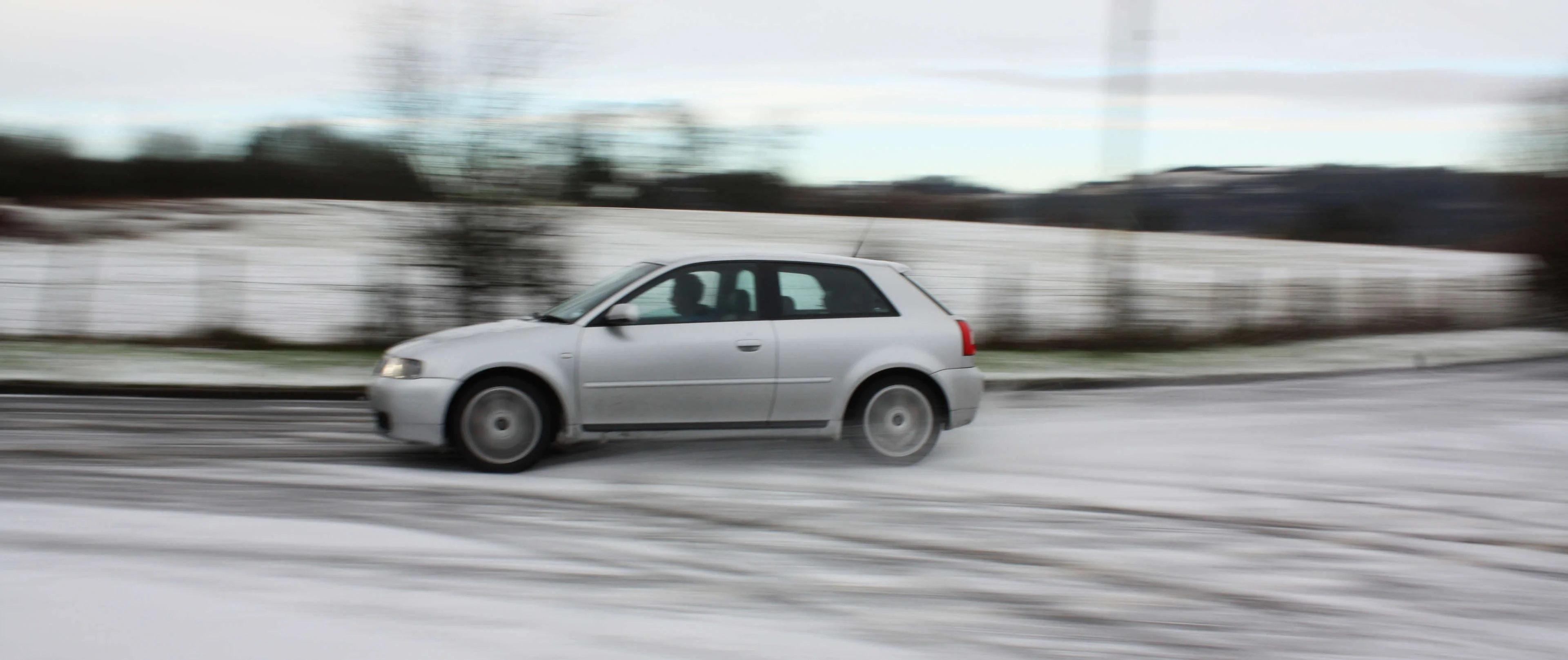 IMG_3243cropped.webp