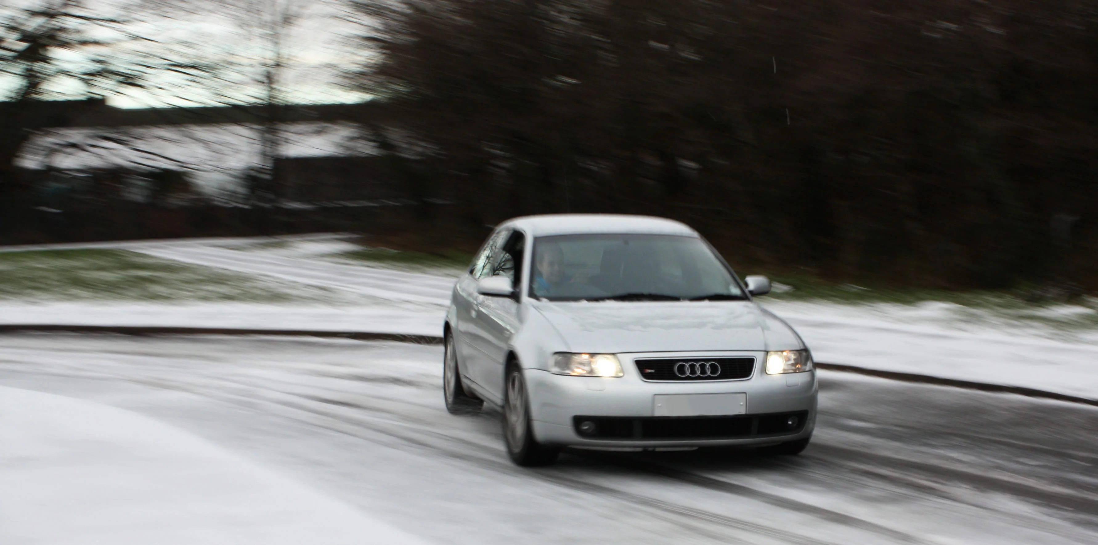 IMG_3274cropped.webp