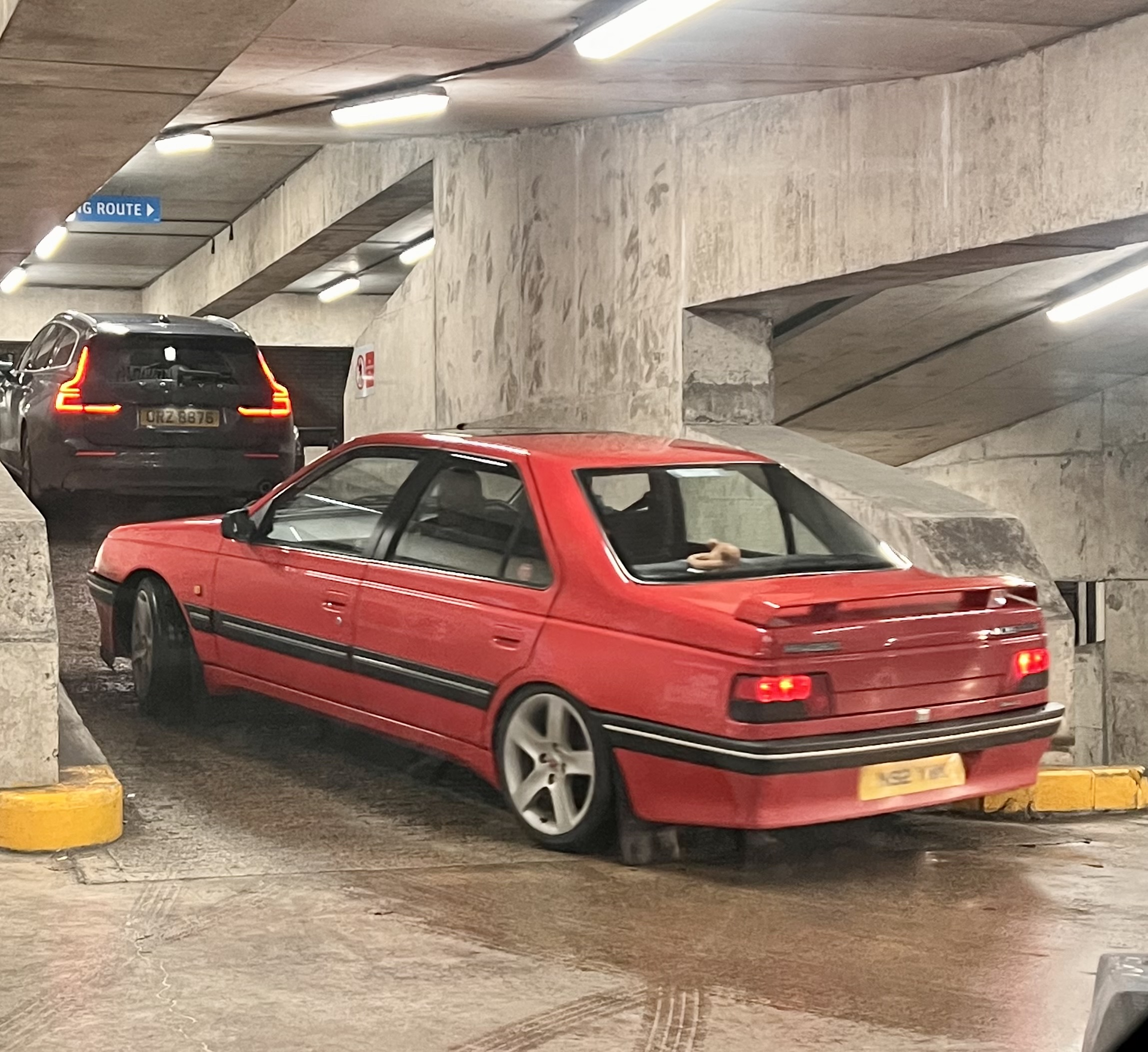 IMG_3413.jpeg