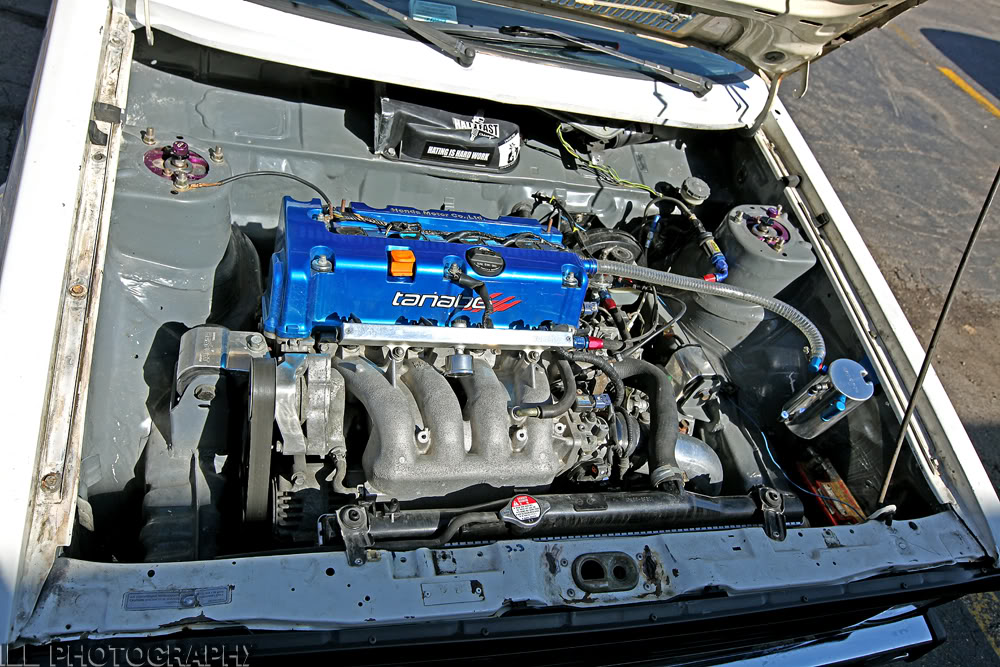 IMG_3459r.jpg