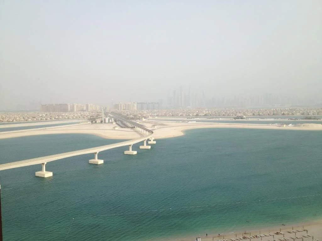 IMG_3493_zps5ac1ab7c.webp