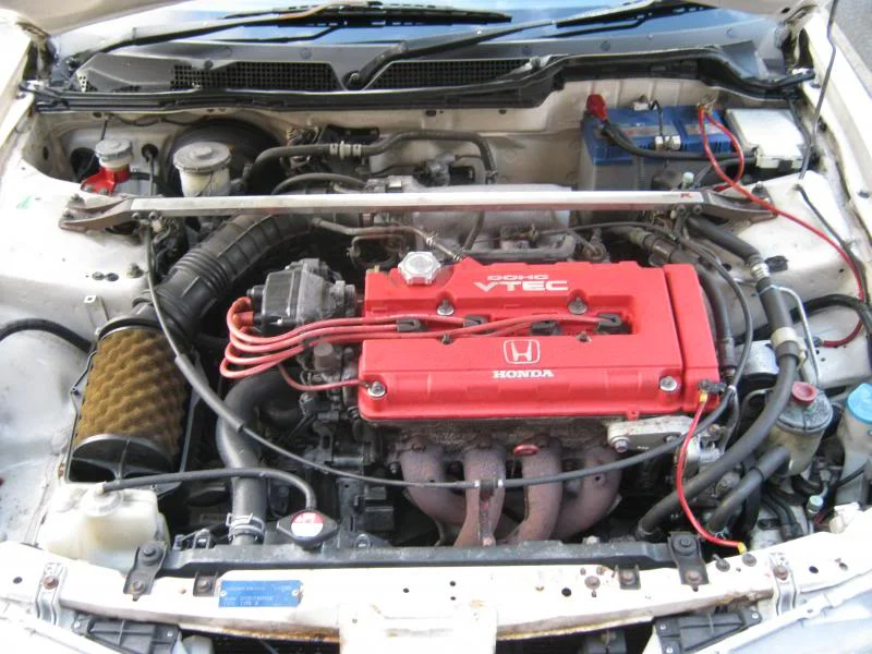 IMG_3520_zpsacfaf3b8.webp