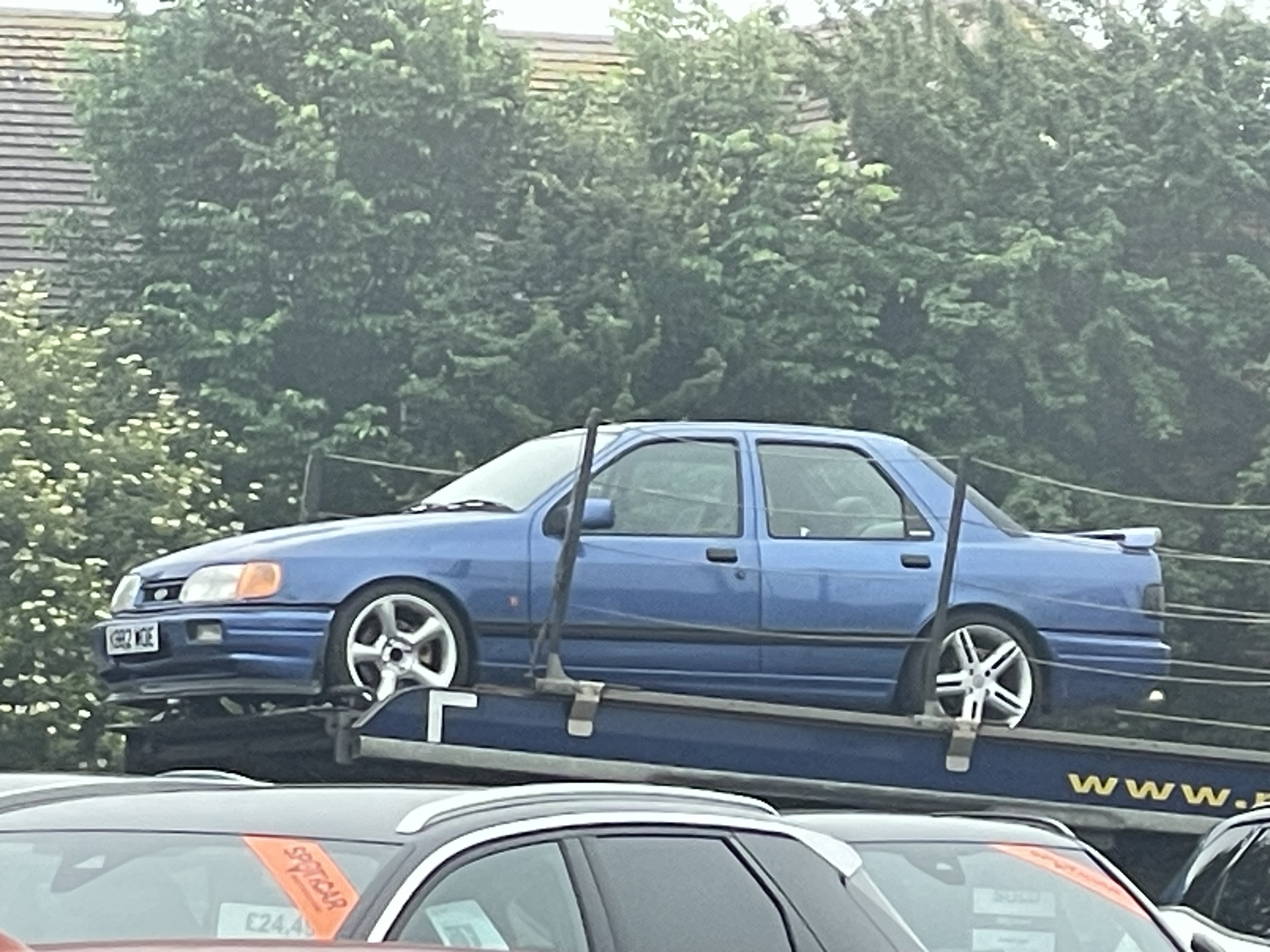 IMG_3688.jpeg