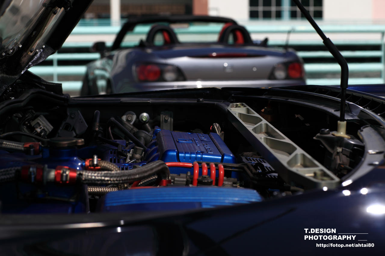 IMG_3713.jpg IMG_3713.jpg