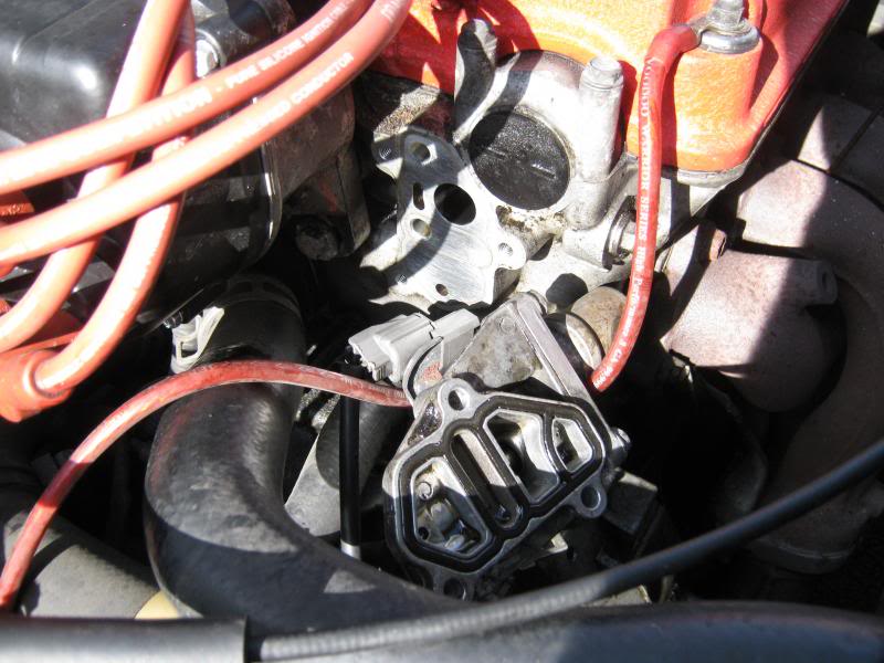 IMG_3720_zps36ef9ba2.jpg