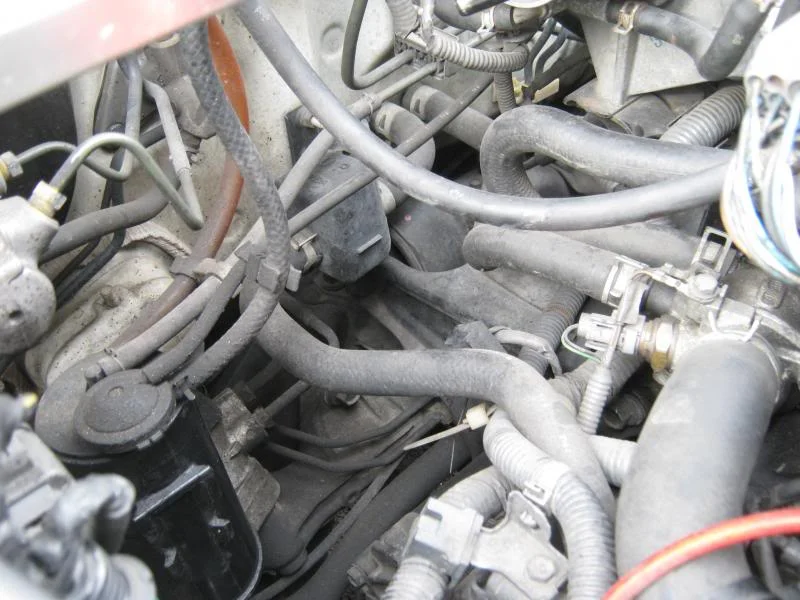 IMG_3722_zpsbd1e7d45.webp
