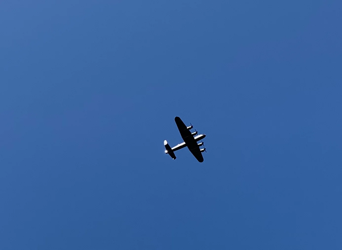 IMG_3771.JPEG