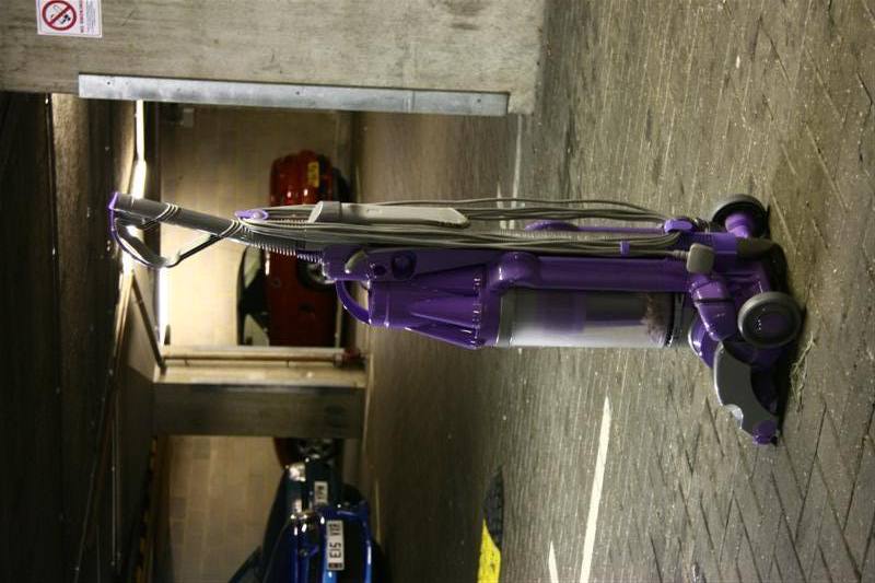 IMG_3813Medium.jpg IMG_3813Medium.jpg