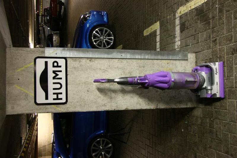 IMG_3817Medium.jpg IMG_3817Medium.jpg