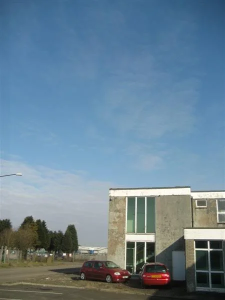 IMG_4024Medium.webp