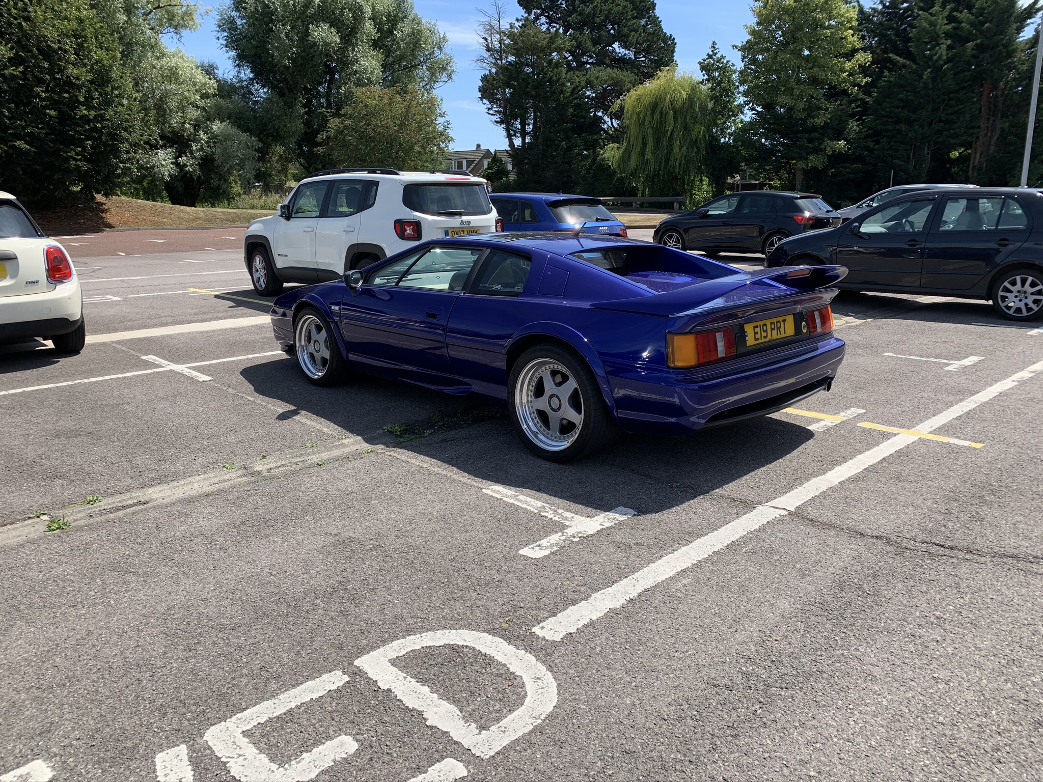 IMG_4163.jpeg