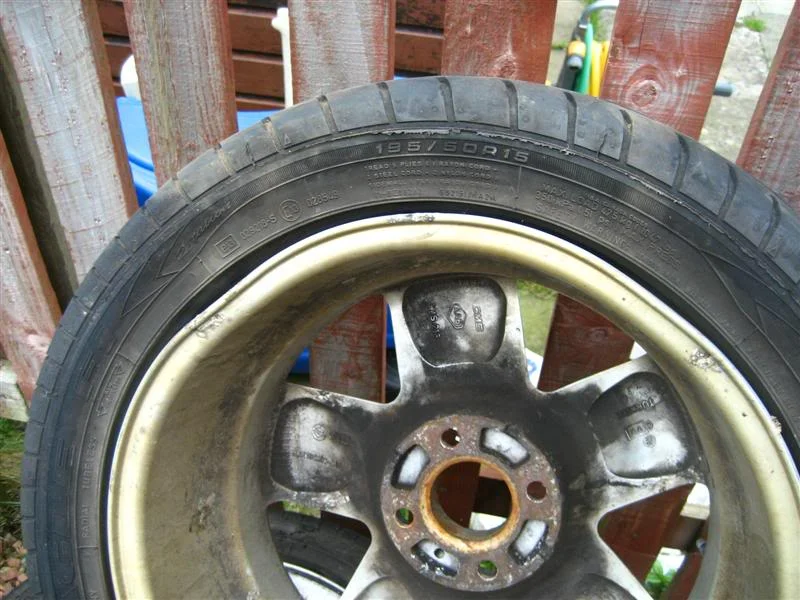 IMG_4213Medium.webp