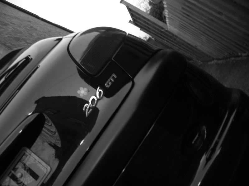 IMG_4277.jpg IMG_4277.jpg