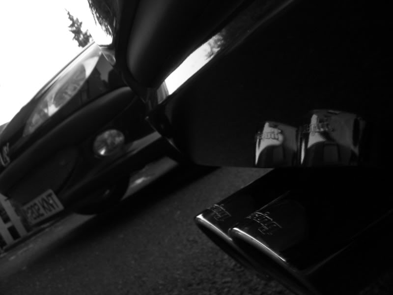 IMG_4282.jpg IMG_4282.jpg