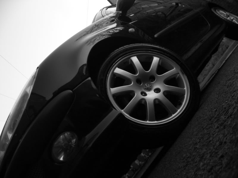 IMG_4284.jpg IMG_4284.jpg