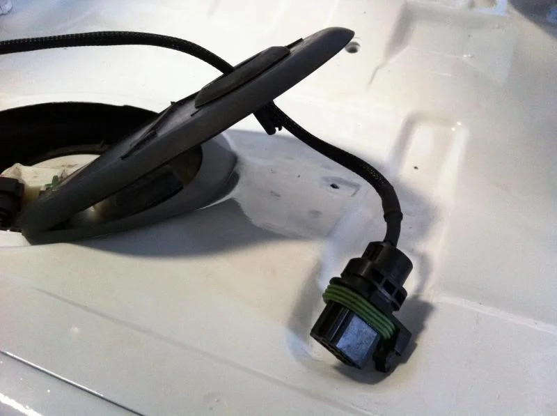 IMG_4352_zps97a64b4d.webp