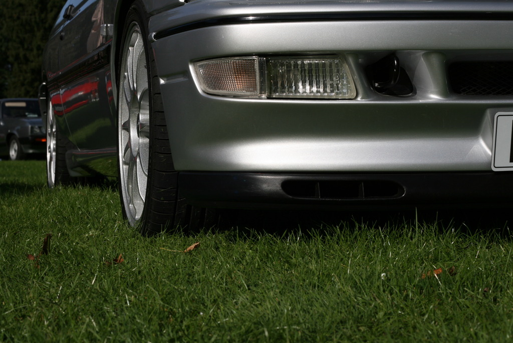 IMG_4508_zpsyxc3vt8t.jpg