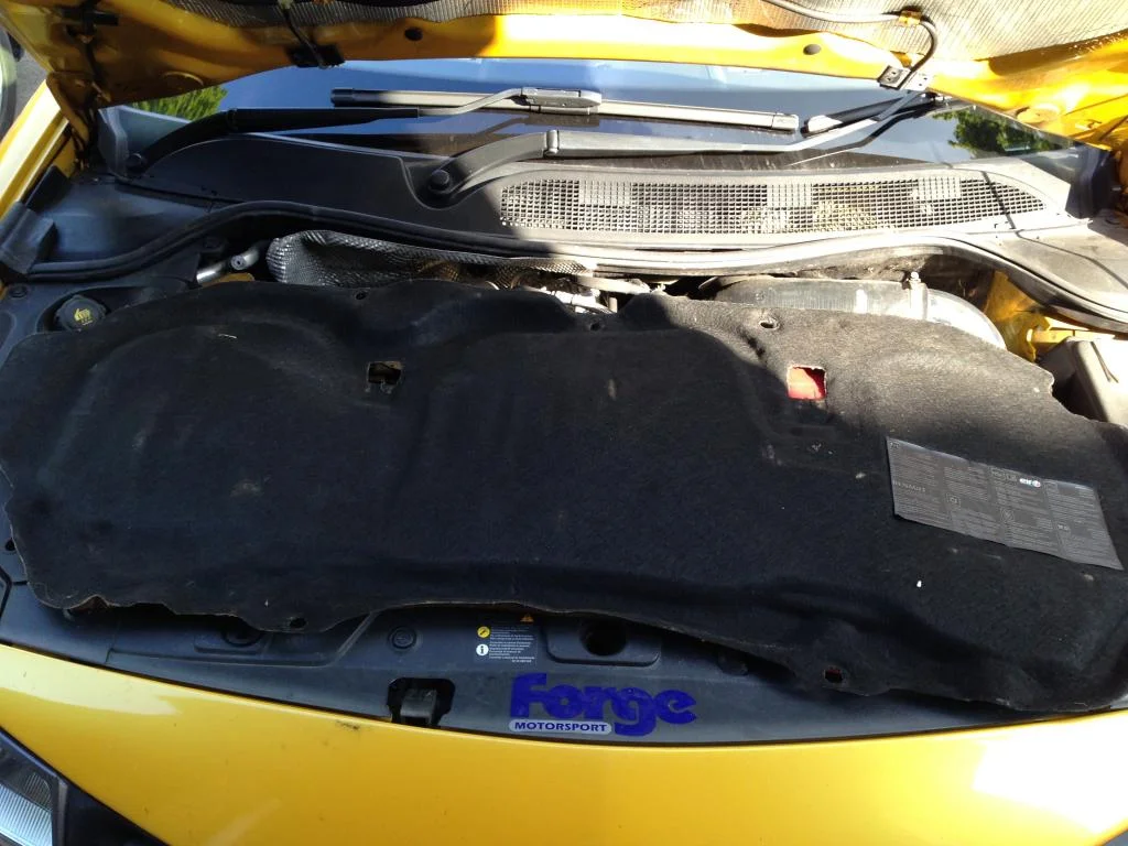 IMG_4512_zps17f62679.webp