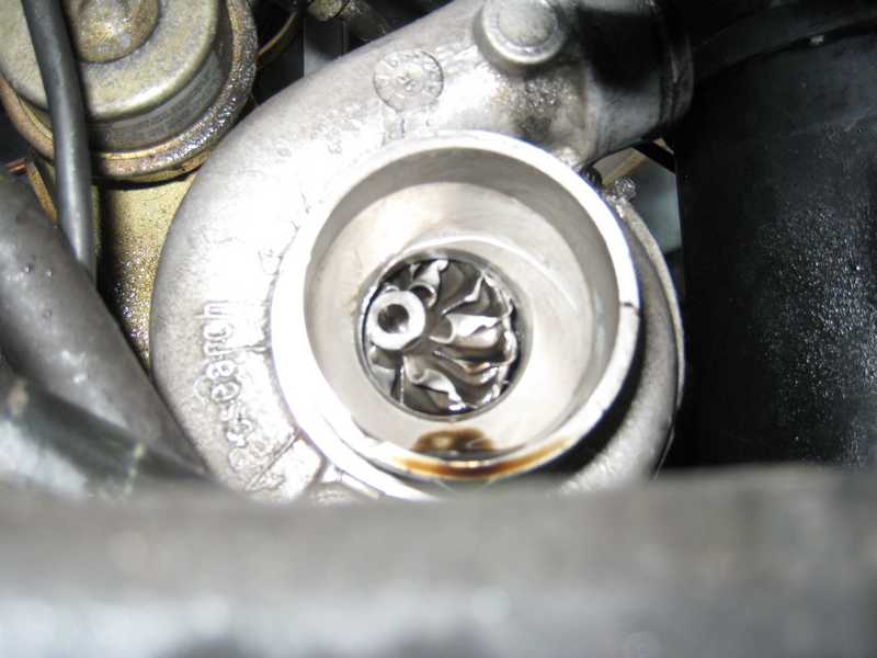 img_4715.jpg img_4715.jpg