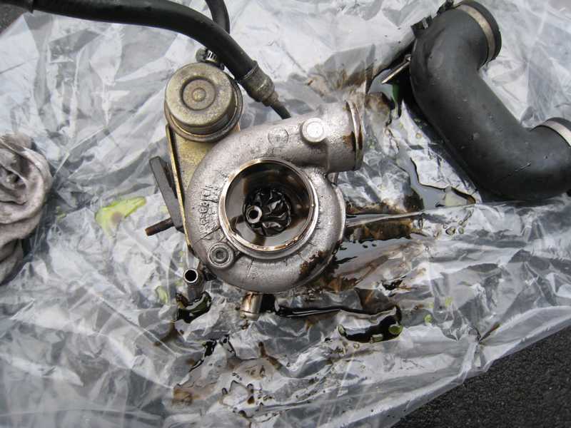 img_4717.jpg img_4717.jpg