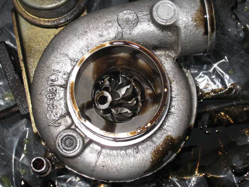 img_4718.jpg img_4718.jpg