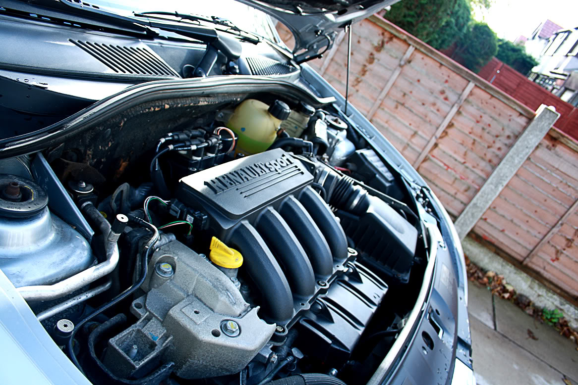 IMG_4730.jpg IMG_4730.jpg